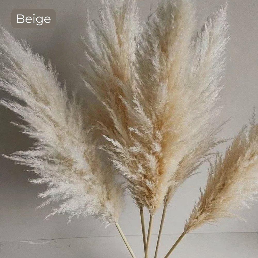 Soft Natural Dried Pampas Grass Bouquet