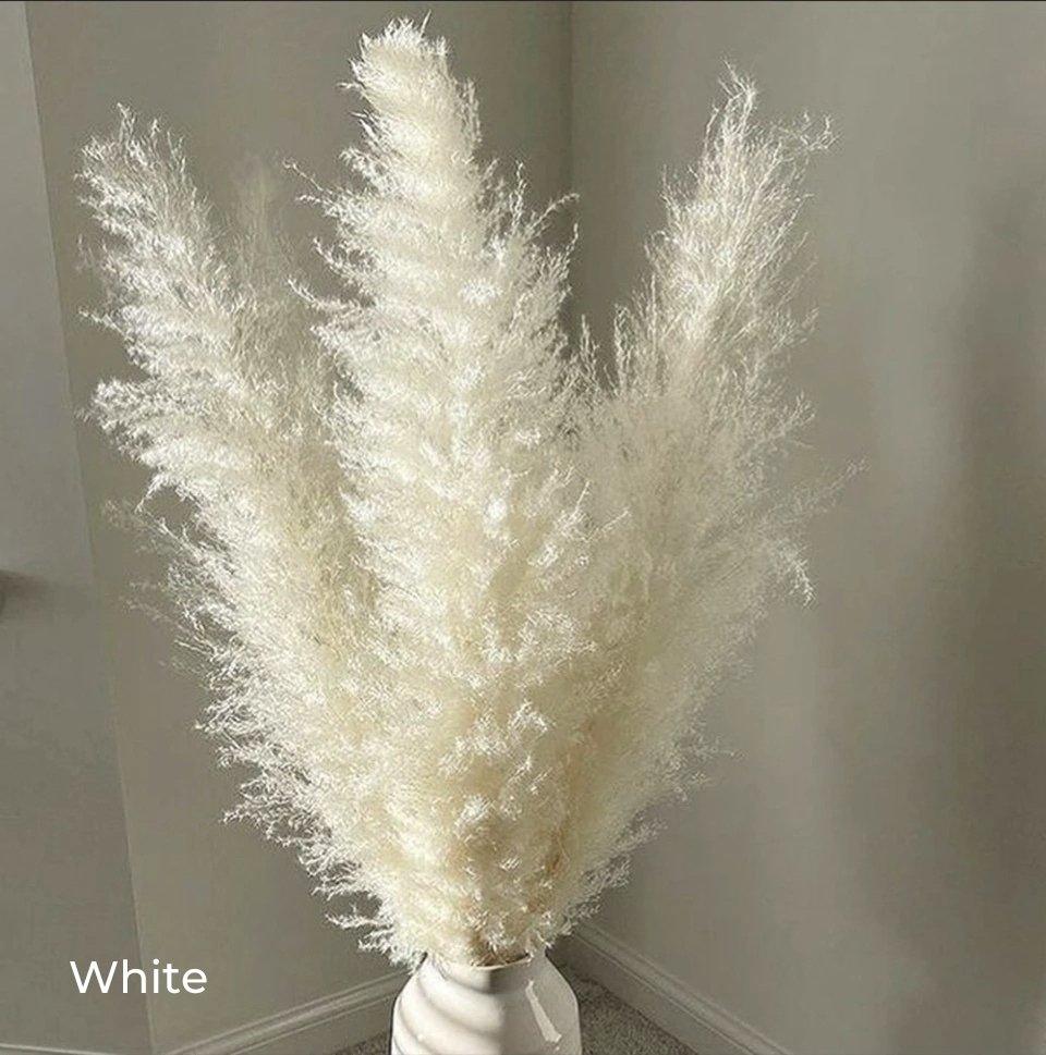 Soft Natural Dried Pampas Grass Bouquet