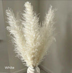 Soft Natural Dried Pampas Grass Bouquet