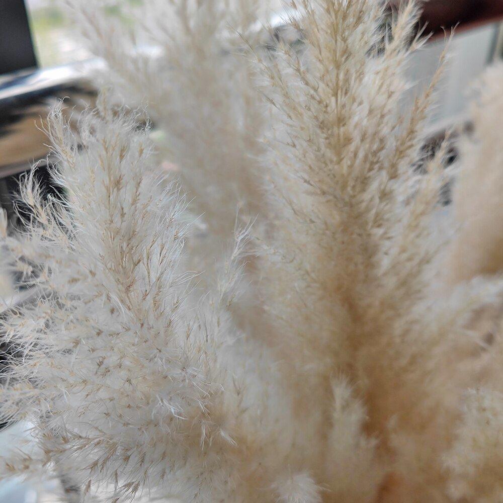Soft Natural Dried Pampas Grass Bouquet
