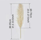 Soft Natural Dried Pampas Grass Bouquet