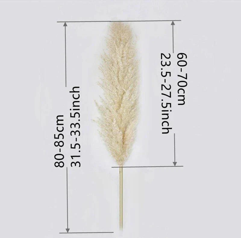 Soft Natural Dried Pampas Grass Bouquet