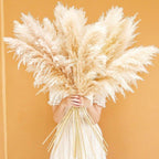 Soft Natural Dried Pampas Grass Bouquet