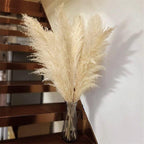 Soft Natural Dried Pampas Grass Bouquet