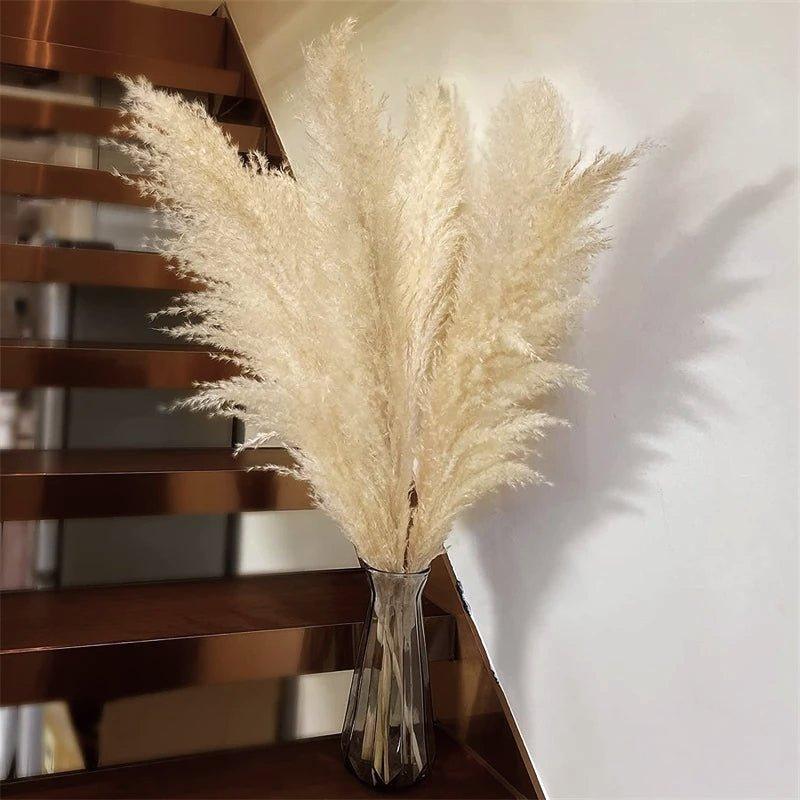 Soft Natural Dried Pampas Grass Bouquet