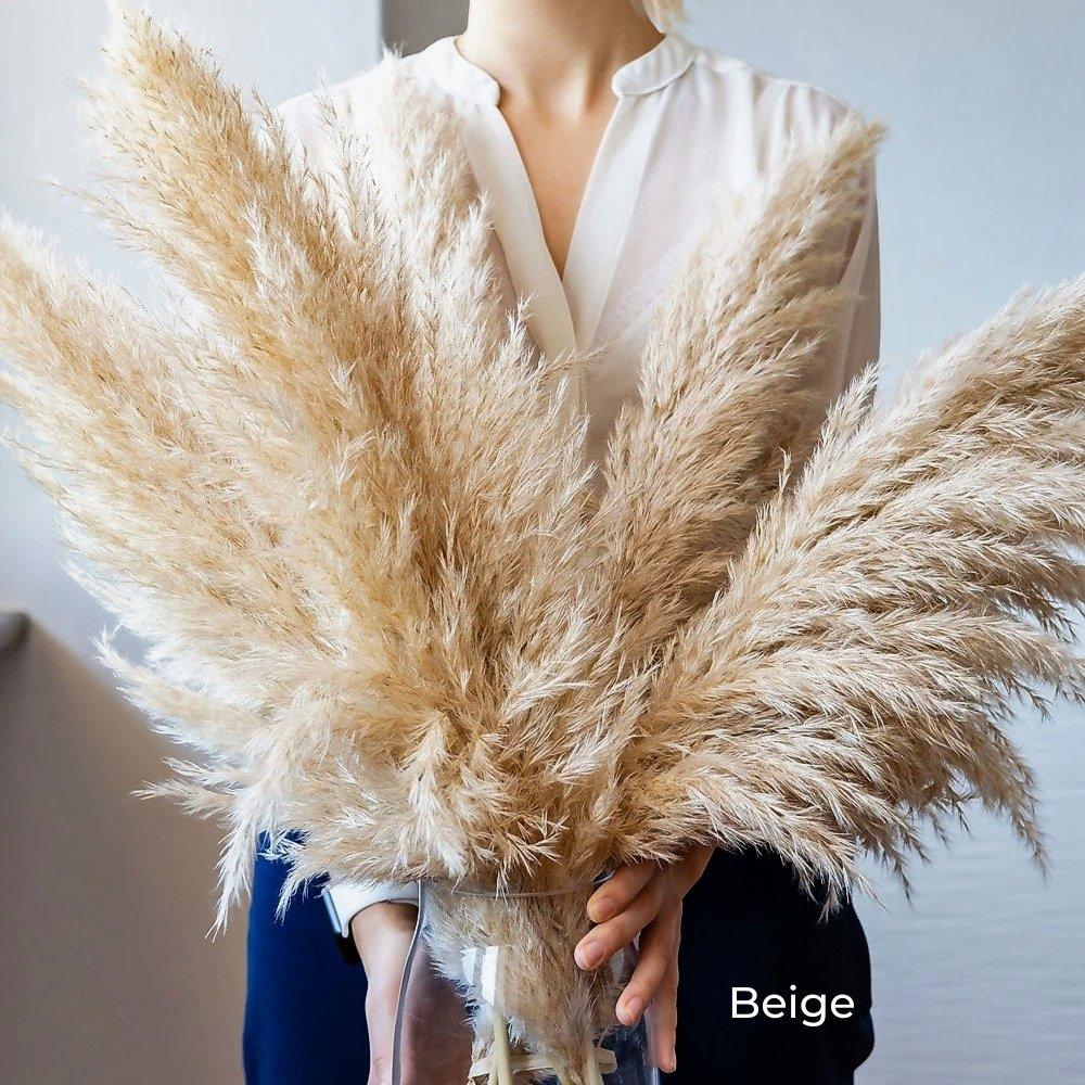 Soft Natural Dried Pampas Grass Bouquet