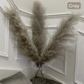 Soft Natural Dried Pampas Grass Bouquet