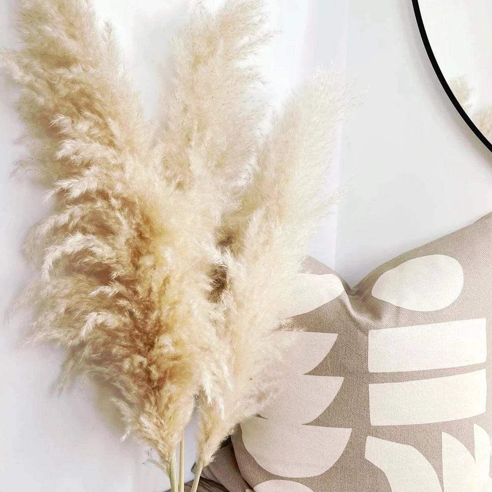 Soft Natural Dried Pampas Grass Bouquet
