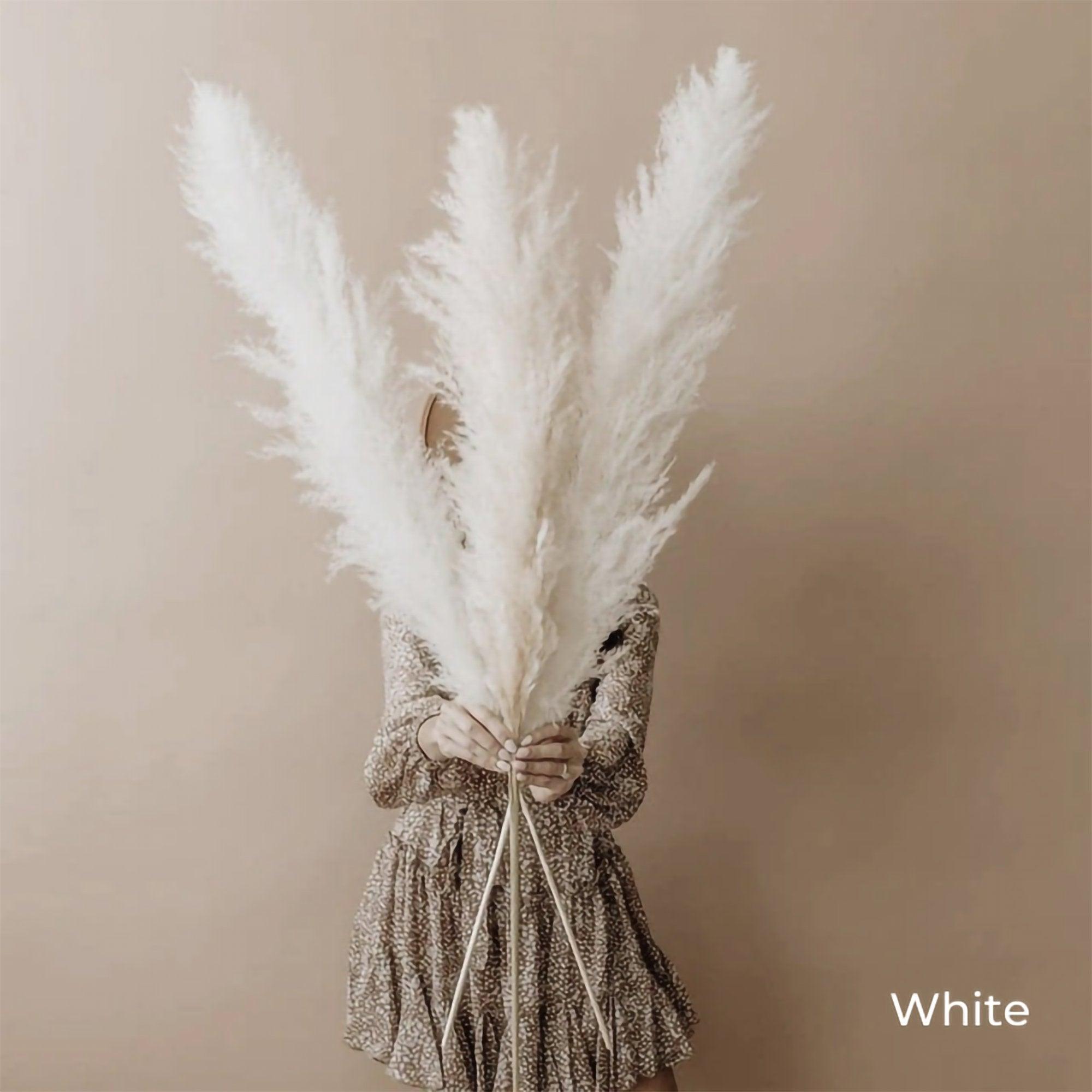 Soft Natural Dried Pampas Grass Bouquet