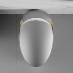 Luxury Smart Toilet with Integrated Bidet Seat