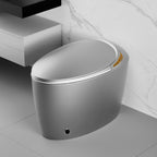 Luxury Smart Toilet with Integrated Bidet Seat