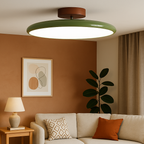 Drift Adjustable LED Ceiling Light Contemporary Home Lighting