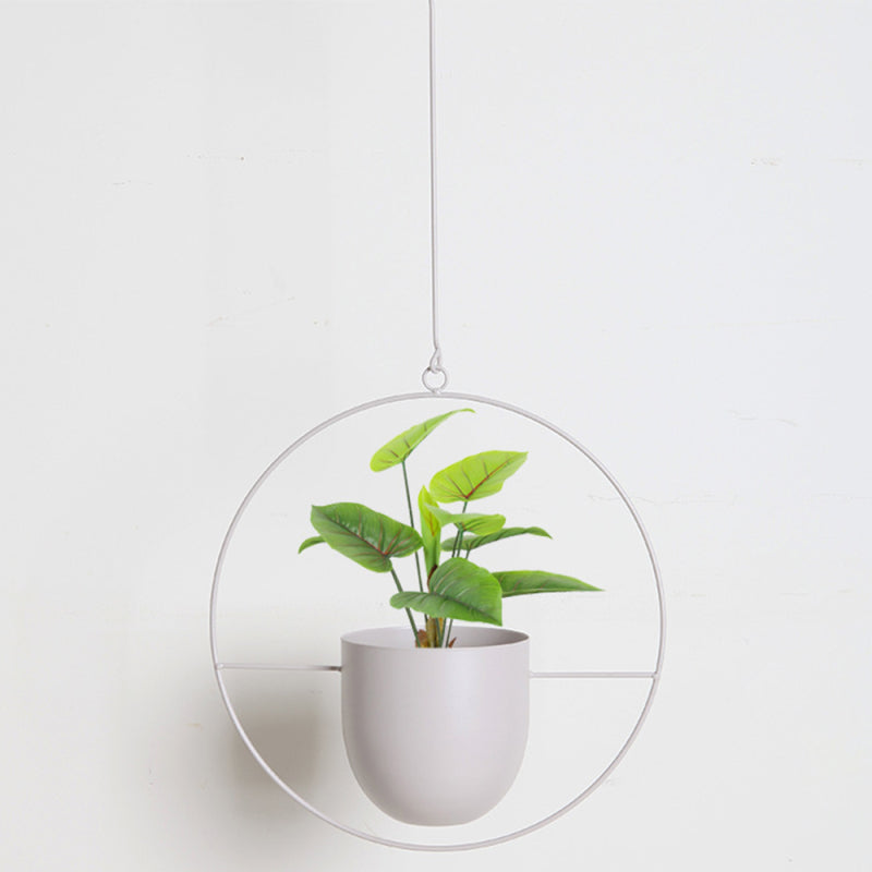 Modern Hanging Plant Pot