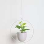 Modern Hanging Plant Pot