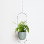 Modern Hanging Plant Pot
