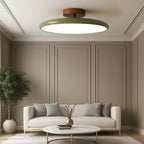 Drift Adjustable LED Ceiling Light Contemporary Home Lighting