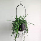 FloraFrame Minimalist Iron Hanging Planter