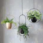 FloraFrame Minimalist Iron Hanging Planter