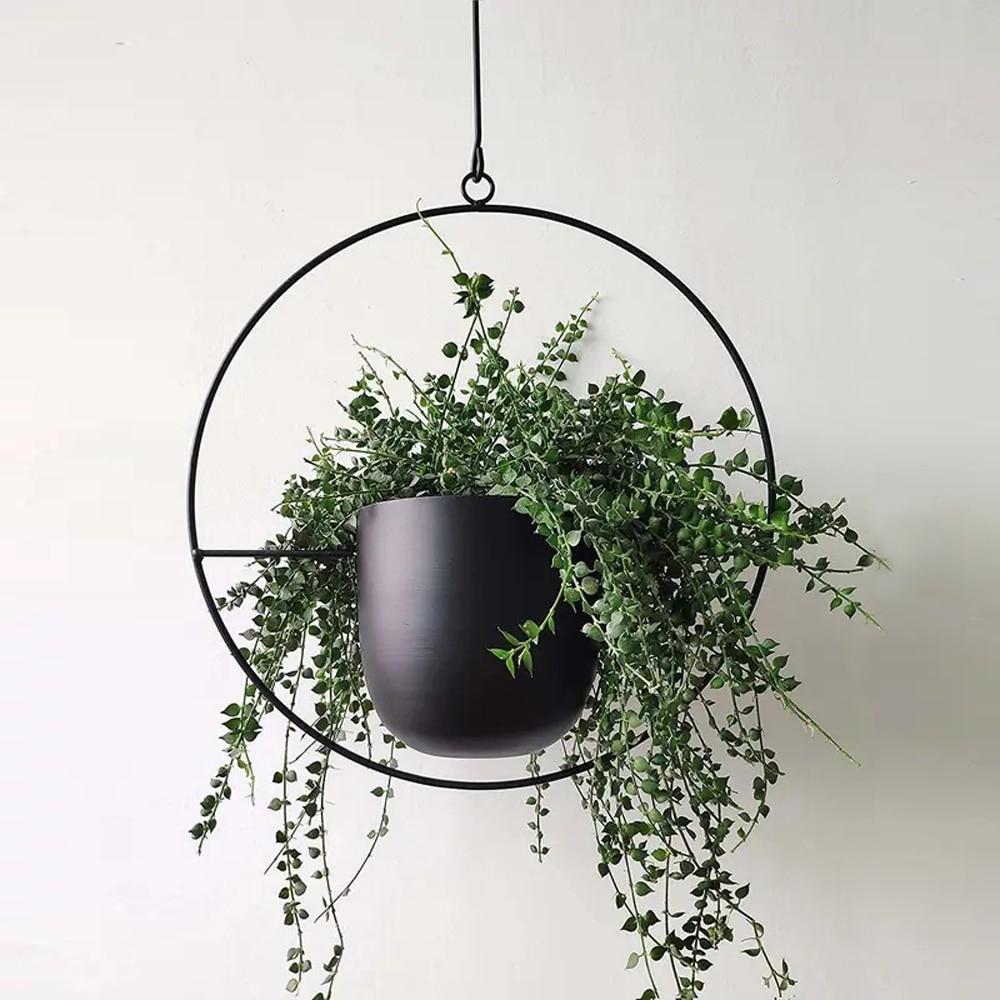 FloraFrame Minimalist Iron Hanging Planter
