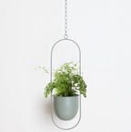 FloraFrame Minimalist Iron Hanging Planter