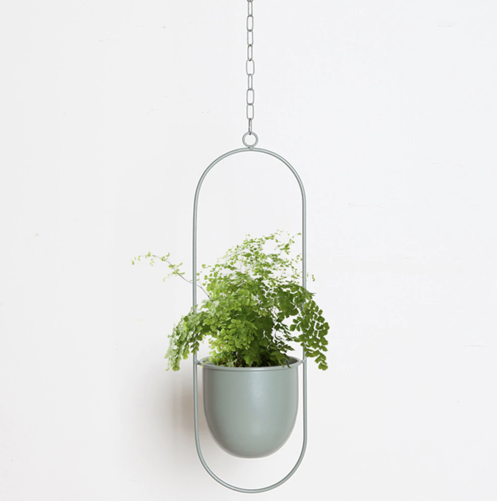FloraFrame Minimalist Iron Hanging Planter