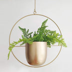 FloraFrame Minimalist Iron Hanging Planter