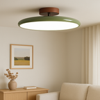 Drift Adjustable LED Ceiling Light Contemporary Home Lighting