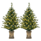 Set of 2 4ft Pre-Lit Artificial Christmas Trees with Vintage Pots