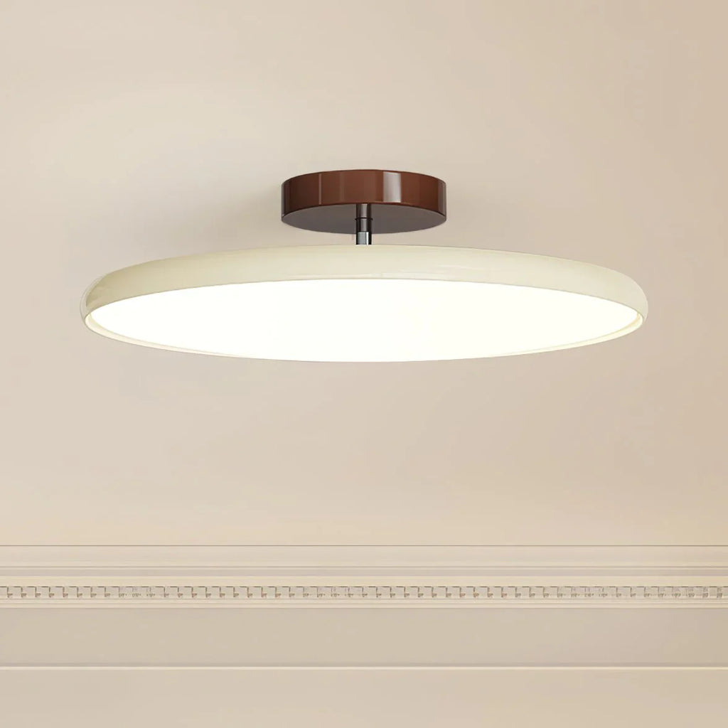 Drift Adjustable LED Ceiling Light Contemporary Home Lighting