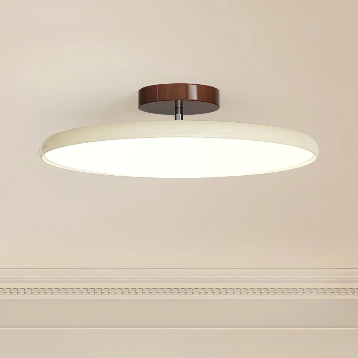 Drift Adjustable LED Ceiling Light Contemporary Home Lighting