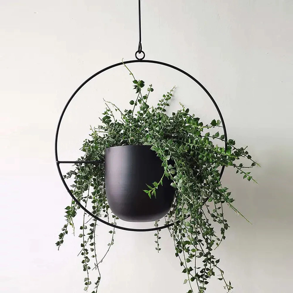 Modern Hanging Plant Pot