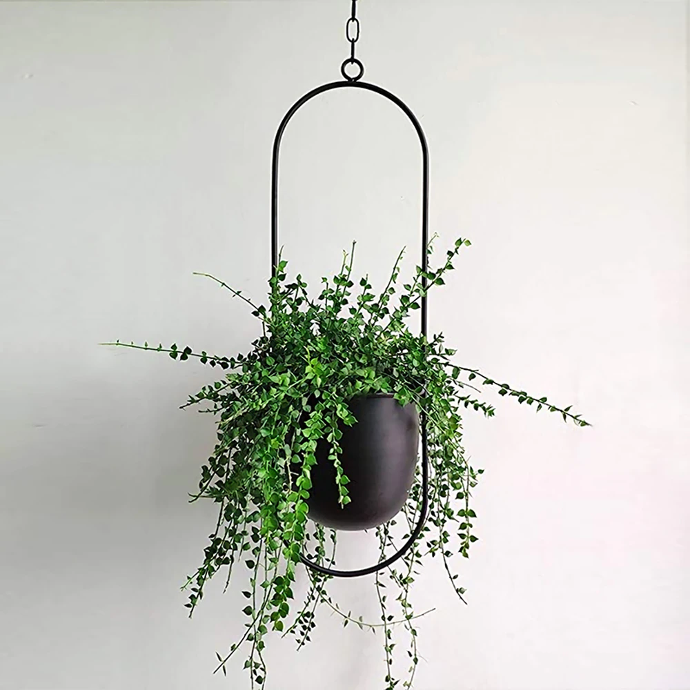 Modern Hanging Plant Pot