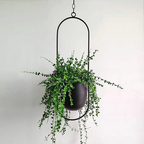 Modern Hanging Plant Pot