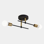 Modern 2-Light Black and Gold Flush Mount Ceiling Lamp