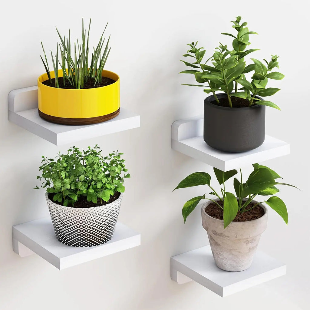 Mini Wooden Floating Wall Shelves – 4-Pack Rustic Display Ledges