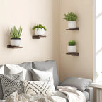 Mini Wooden Floating Wall Shelves – 4-Pack Rustic Display Ledges