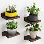 Mini Wooden Floating Wall Shelves – 4-Pack Rustic Display Ledges