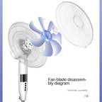 Quiet Electric Floor Fan with Adjustable Head and Timer for Home and Office Use