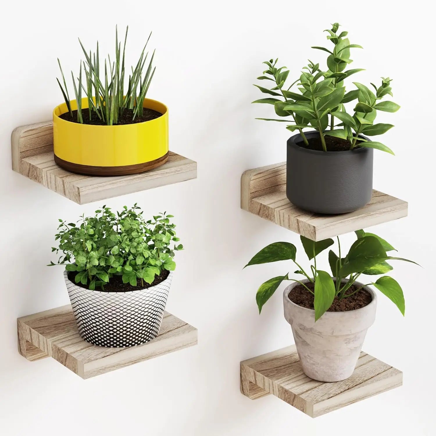Mini Wooden Floating Wall Shelves – 4-Pack Rustic Display Ledges