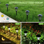 Solar LED Pathway Stake Lights for Lawn and Walkway Decoration