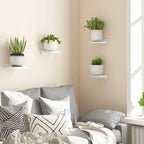 Mini Wooden Floating Wall Shelves – 4-Pack Rustic Display Ledges