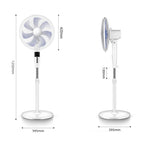 Quiet Electric Floor Fan with Adjustable Head and Timer for Home and Office Use
