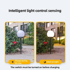 Waterproof Solar LED Garden Ball Light for Lawn and Holiday Decor