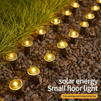 Solar LED Pathway Lamp with 8 Lighting Modes for Camping and Weddings