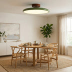 Drift Adjustable LED Ceiling Light Contemporary Home Lighting