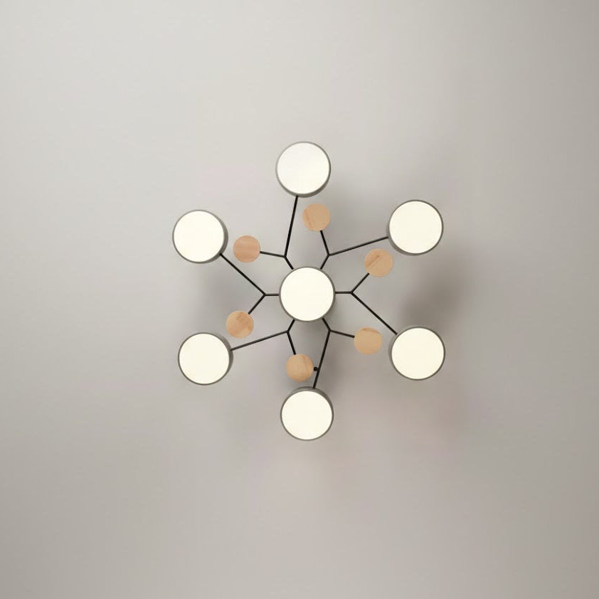 Ceiling Light Modern LED Flush Mount Chandelier Contemporary Home Lighting