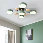 Ceiling Light Modern LED Flush Mount Chandelier Contemporary Home Lighting