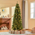 7 Foot Prelit Artificial Pencil Christmas Tree with Warm White LED Lights and Red Berries