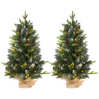Set of 2 3ft Pre-Lit Tabletop Christmas Trees with LED Lights