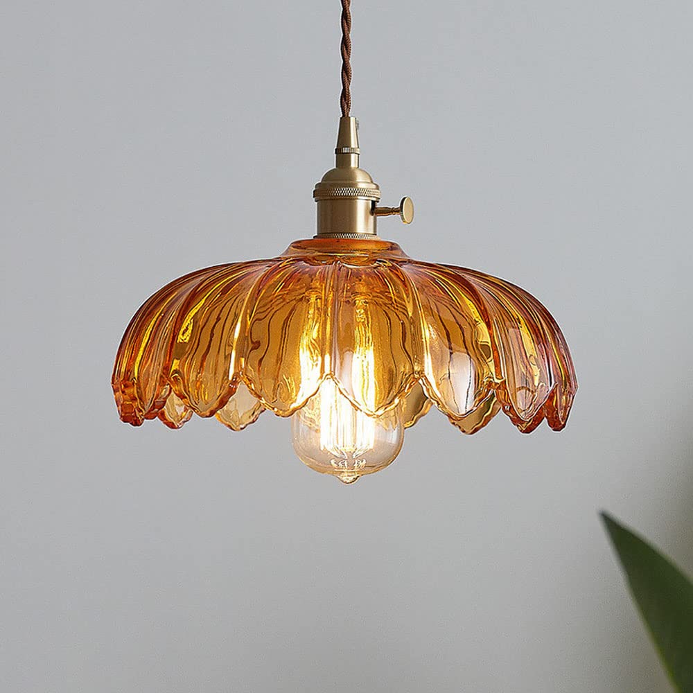 Vintage Flower Pendant Lamp with Coloured Glass Shade